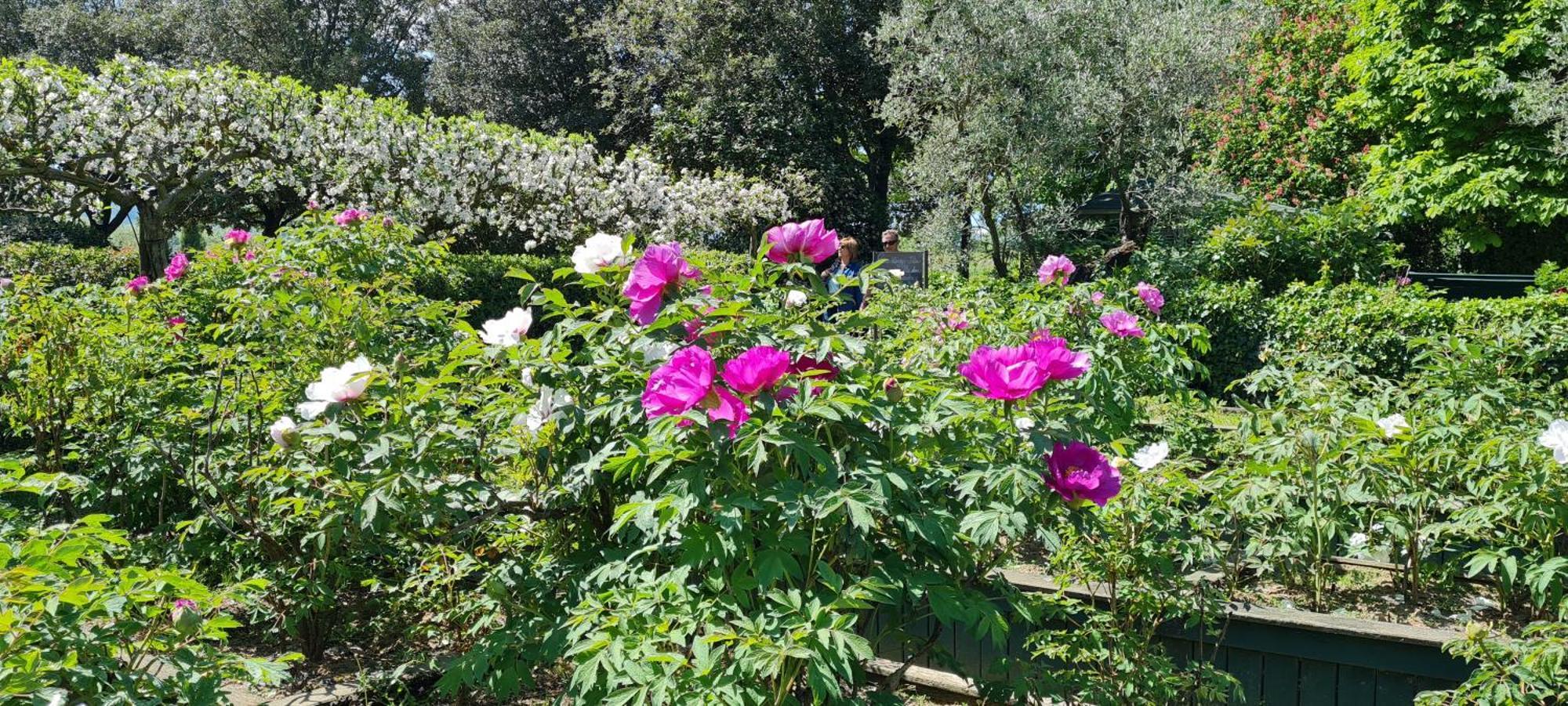 Agriturismo Buonasera 바뇨레조 외부 사진